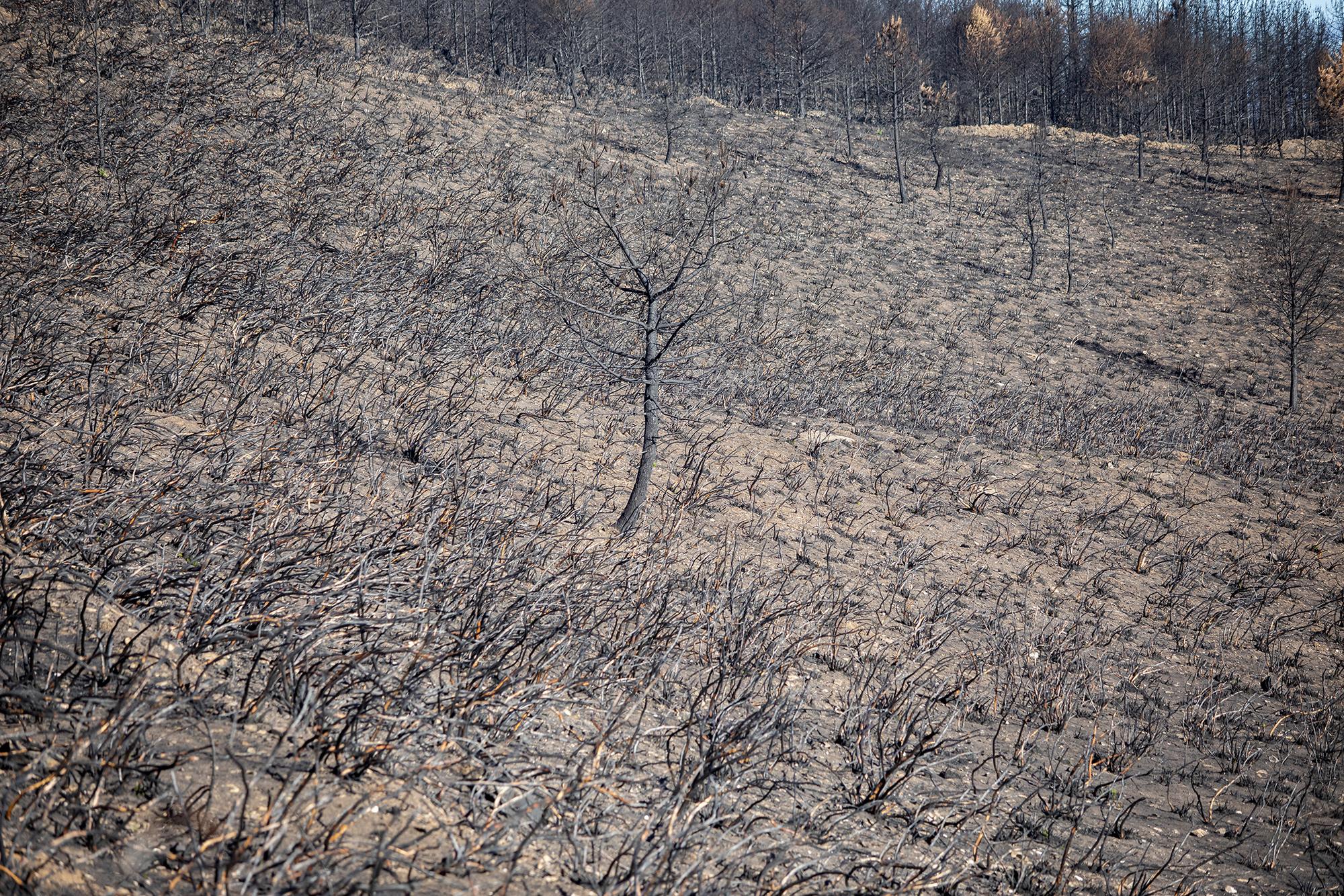 Geografía calcinada enfoques - 12